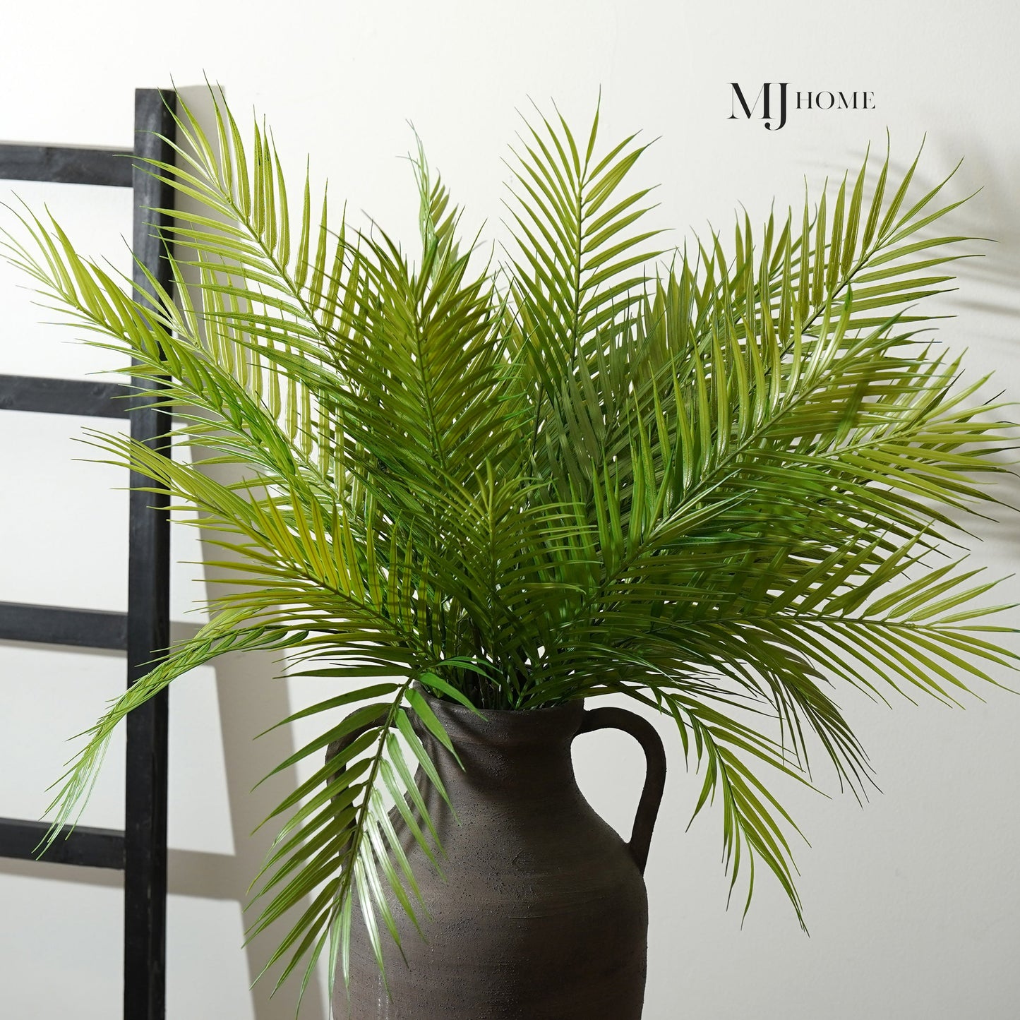 Fernando Palm Bush
