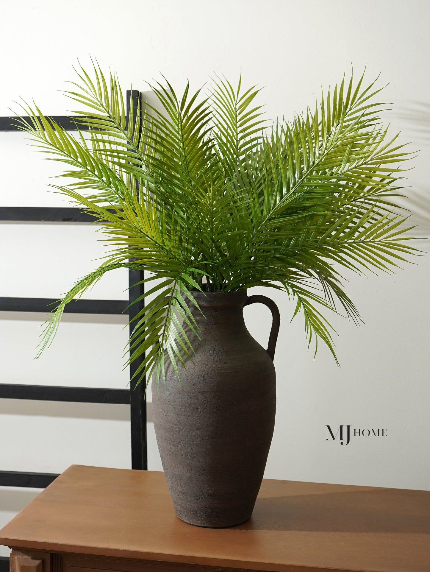 Fernando Palm Bush