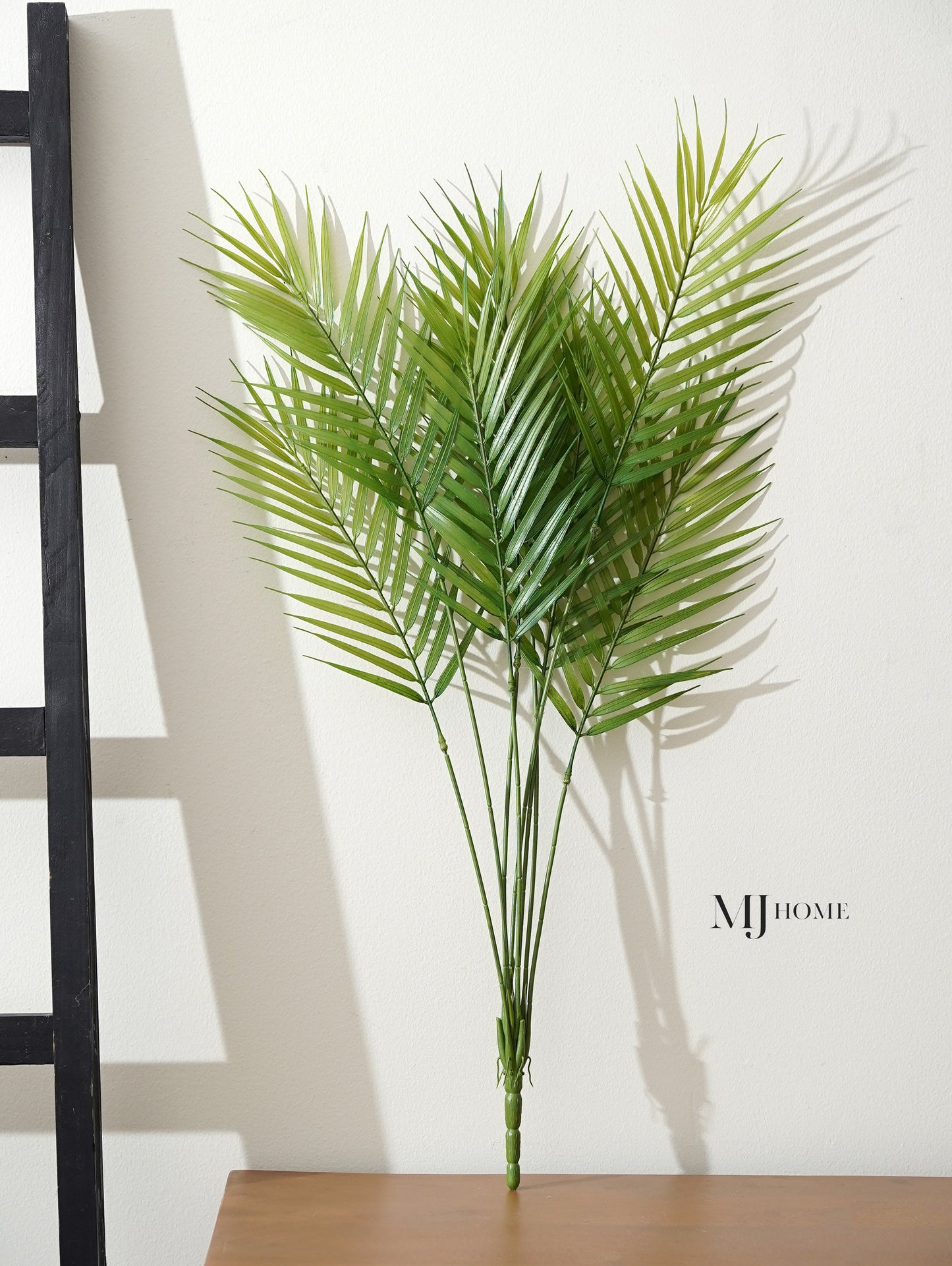 Fernando Palm Bush