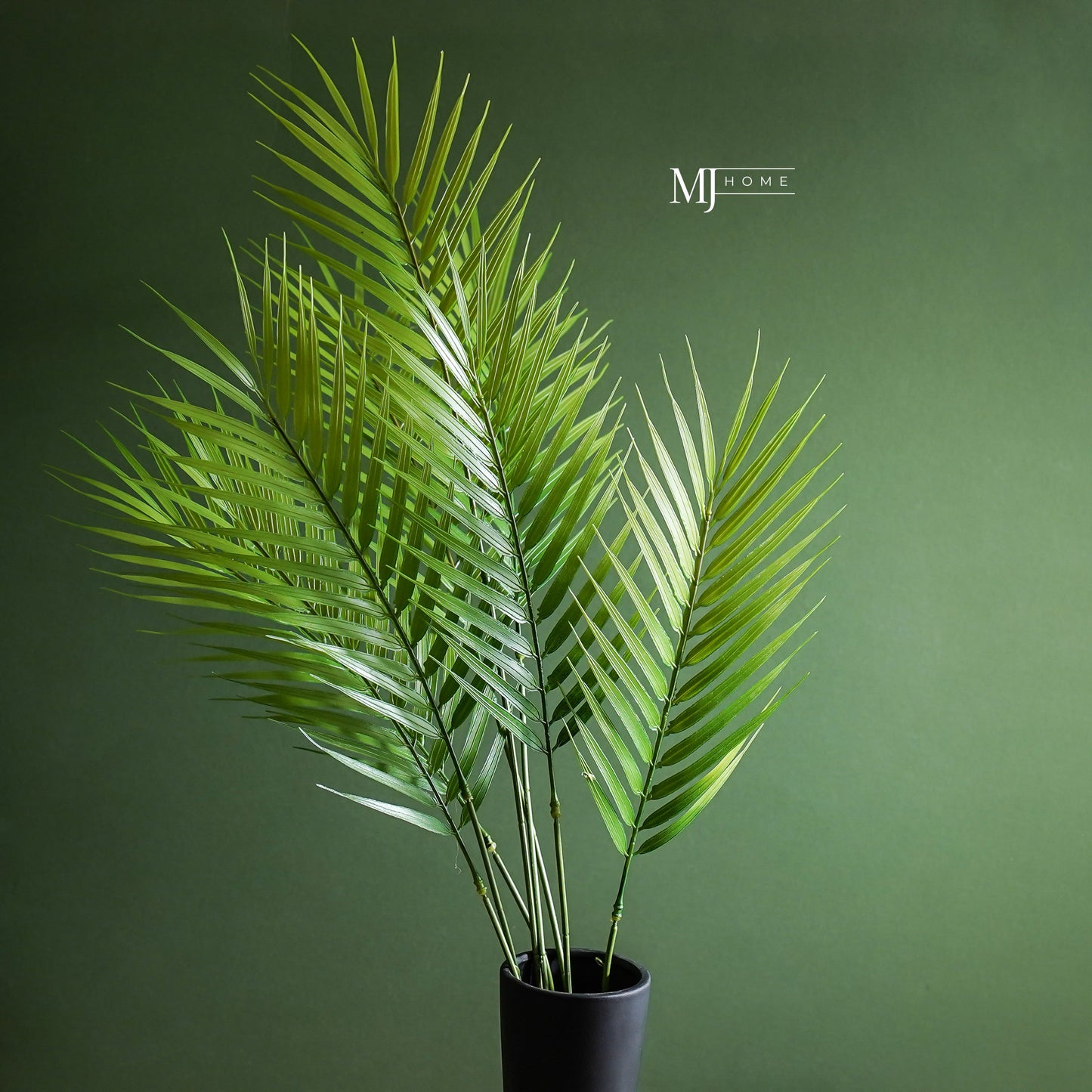 Fernando Palm Bush