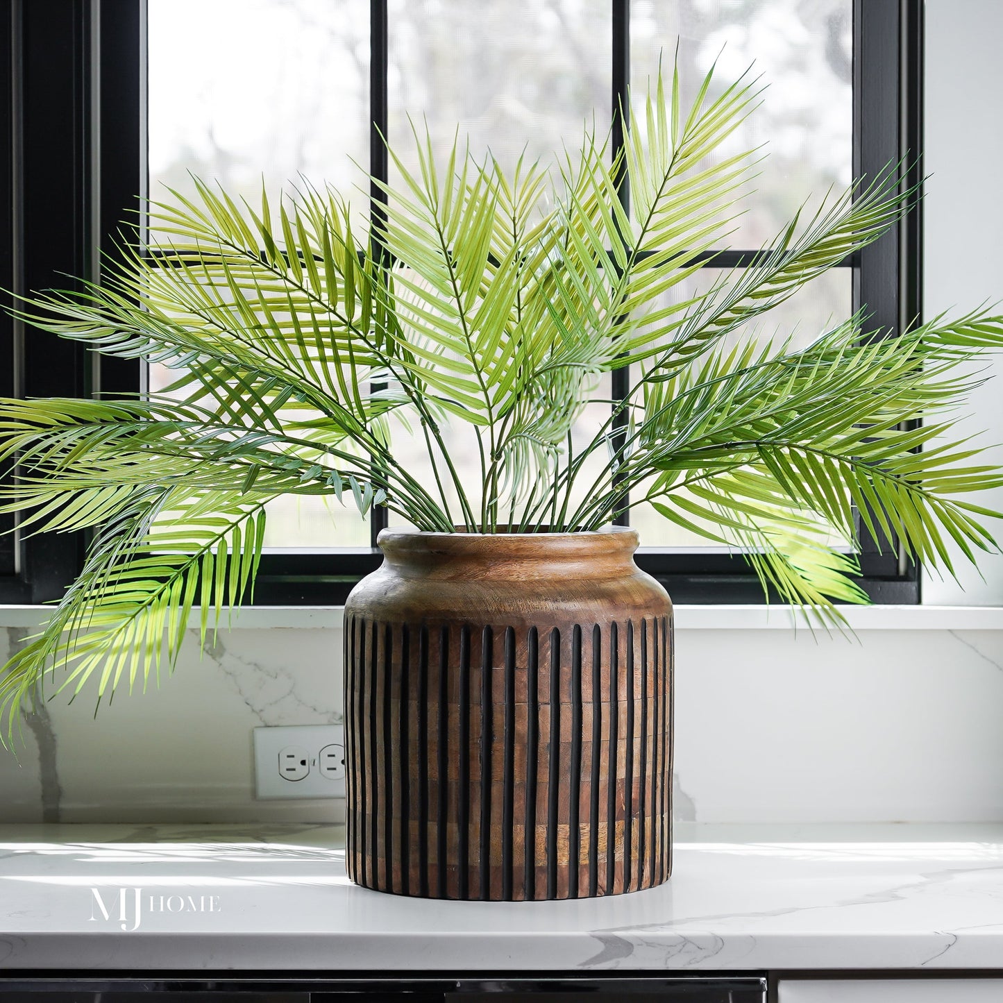 Fernando Palm Bush
