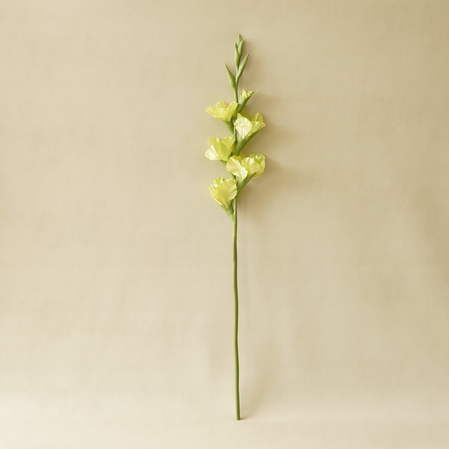 Real Touch Gladiolus Stem | Spring Green