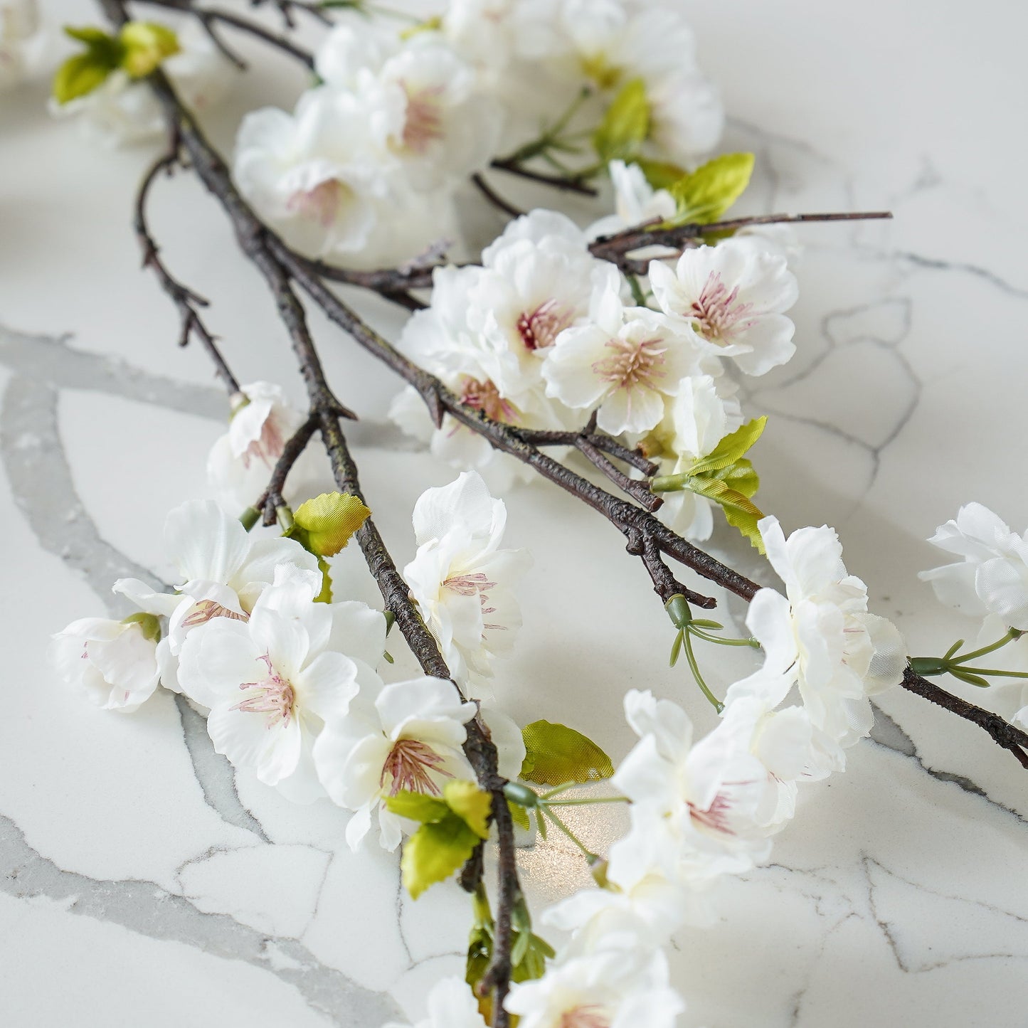 Cherry Blossom Stem