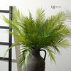 Fernando Palm Bush