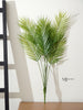 Fernando Palm Bush