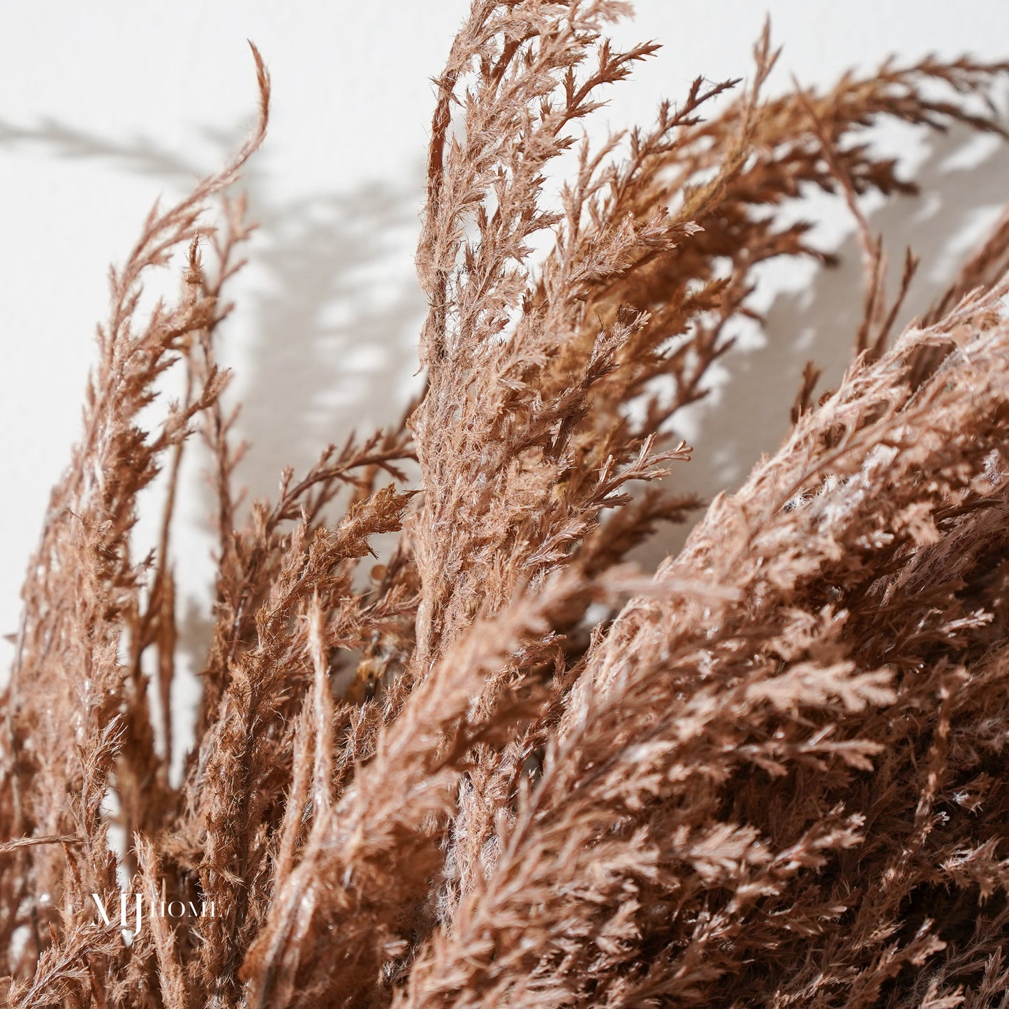 Riley Wispy Pampas Wreath