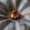 Ripe Ember Pumpkin | 14.5"