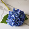 Tiffany Hydrangea | Blue