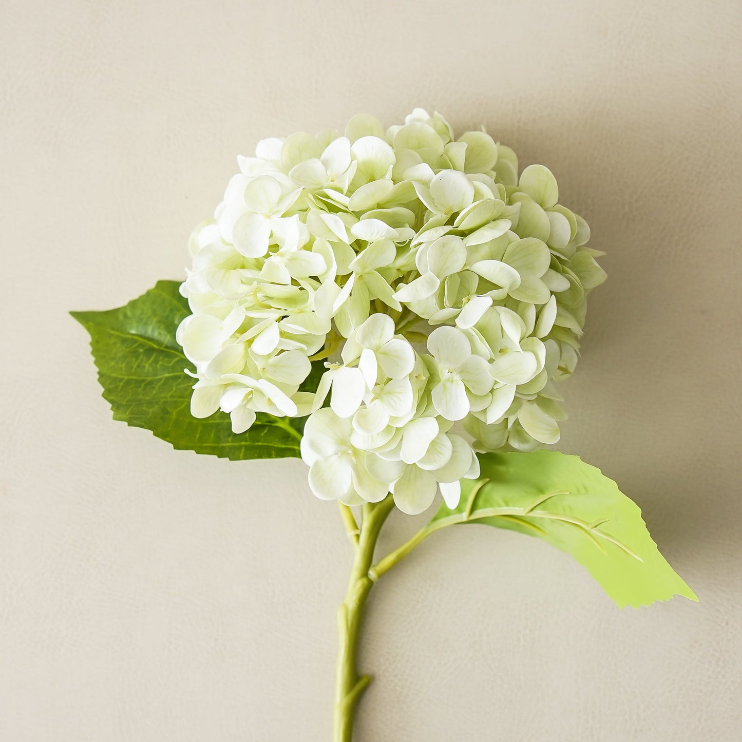 Real Touch Hydrangea | Green