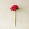 Tiffany Hydrangea | Fuchsia