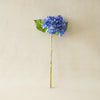 Tiffany Hydrangea | Blue