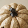 Creamy-Antiqued Jack O’Lanterns
