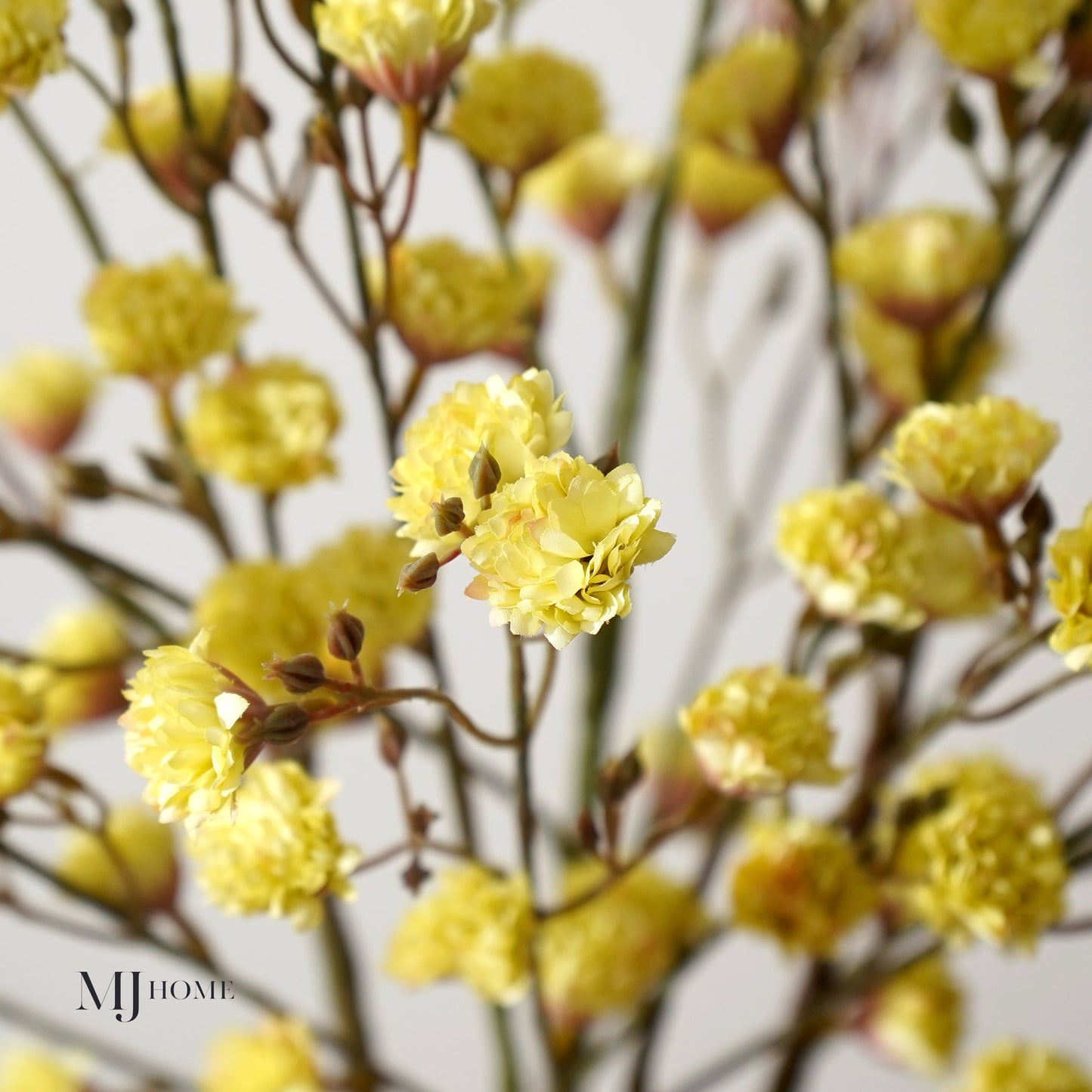 Mini Blooms Bush