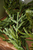 Real Touch Blissful Norfolk Pine Garland | 15'