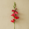 Real Touch Gladiolus Stem | Punch Red