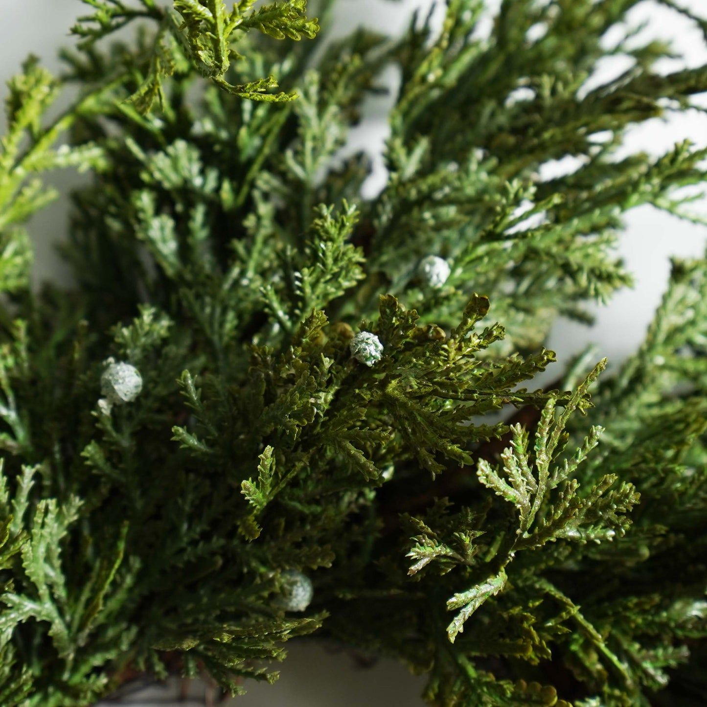 Juniper and Berry Small Wreath