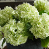 Real Touch Hydrangea | Green