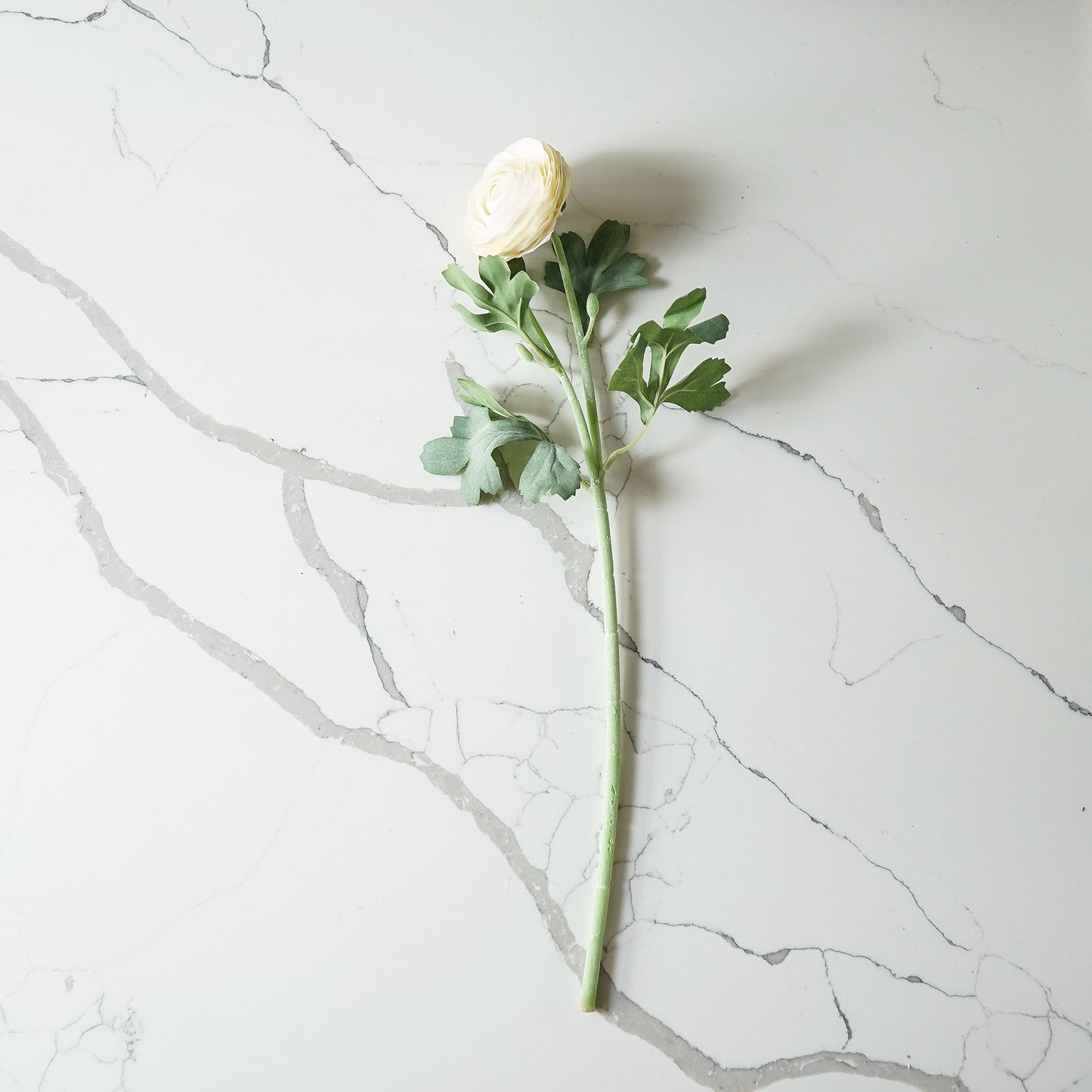 Real Touch Ranunculus Stem | White