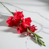 Real Touch Gladiolus Stem | Punch Red