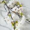 Cherry Blossom Stem