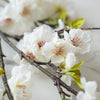 Cherry Blossom Stem