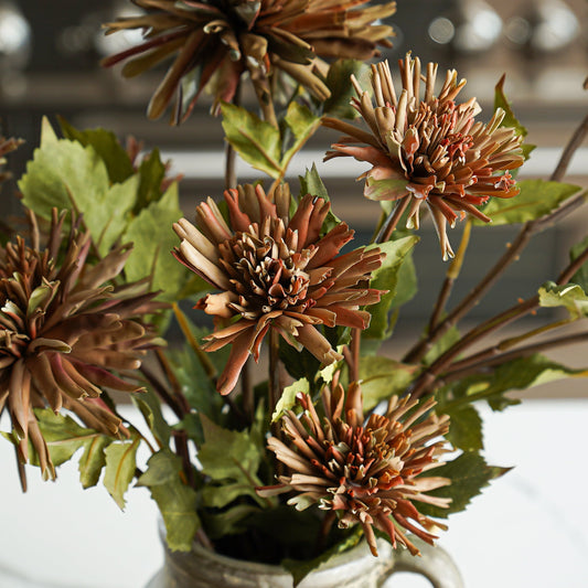 Chrysanthemum Stem