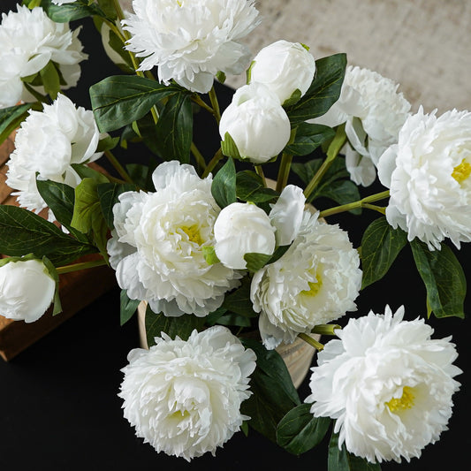 Peony Blossom Stem