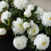 Peony Blossom Stem