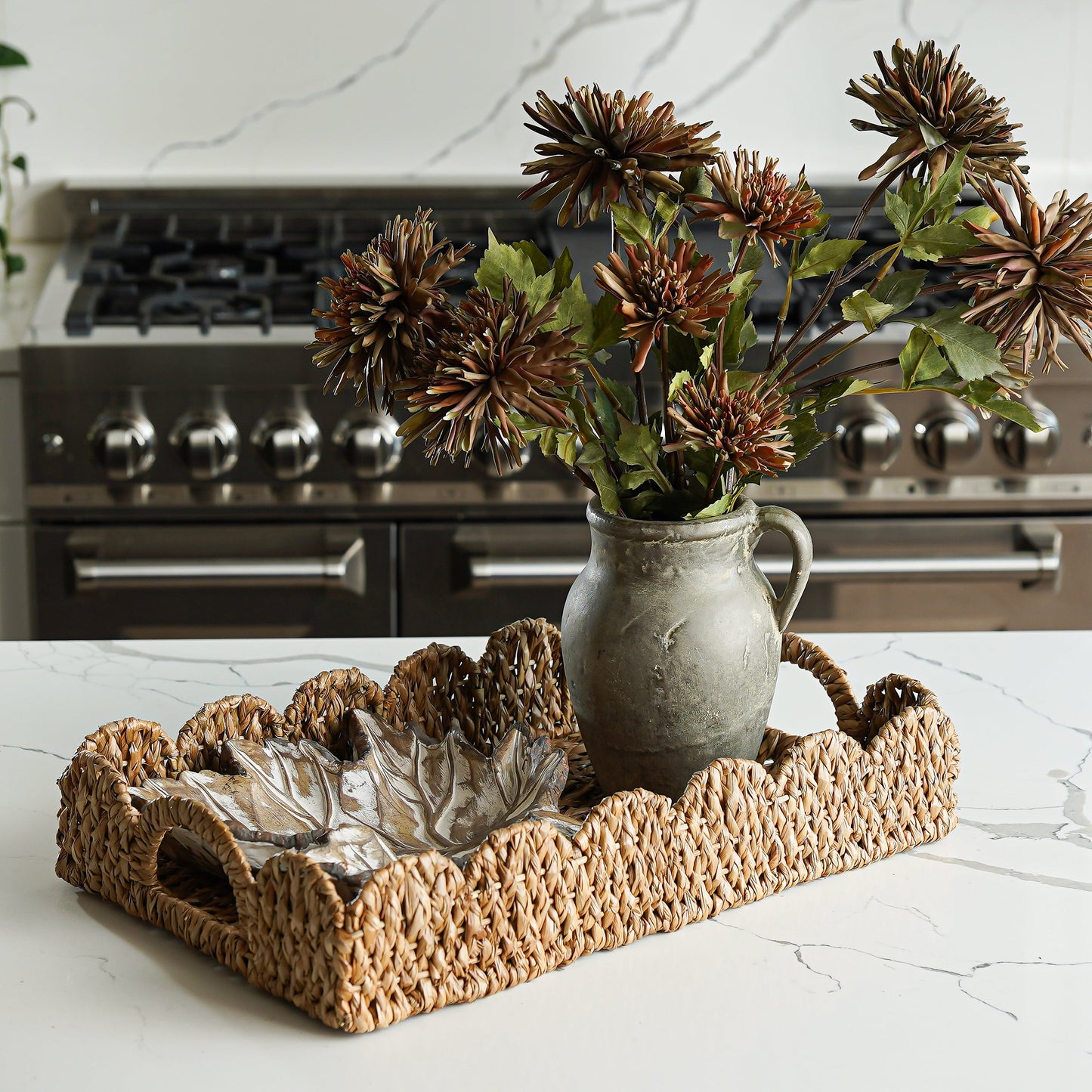 Chrysanthemum Stem