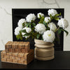 Peony Blossom Stem