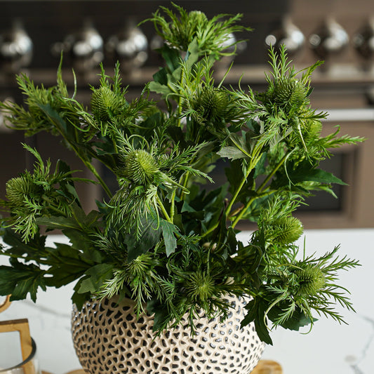 Eryngo Stem