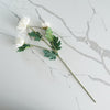 Chrysanthemum Stem | Cream