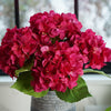 Tiffany Hydrangea | Fuchsia