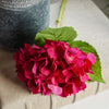 Tiffany Hydrangea | Fuchsia