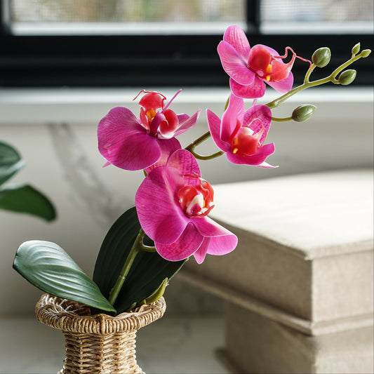 Real Touch Orchid Pick | Fuchsia