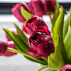 Real Touch Hybrid Tulip Bundle