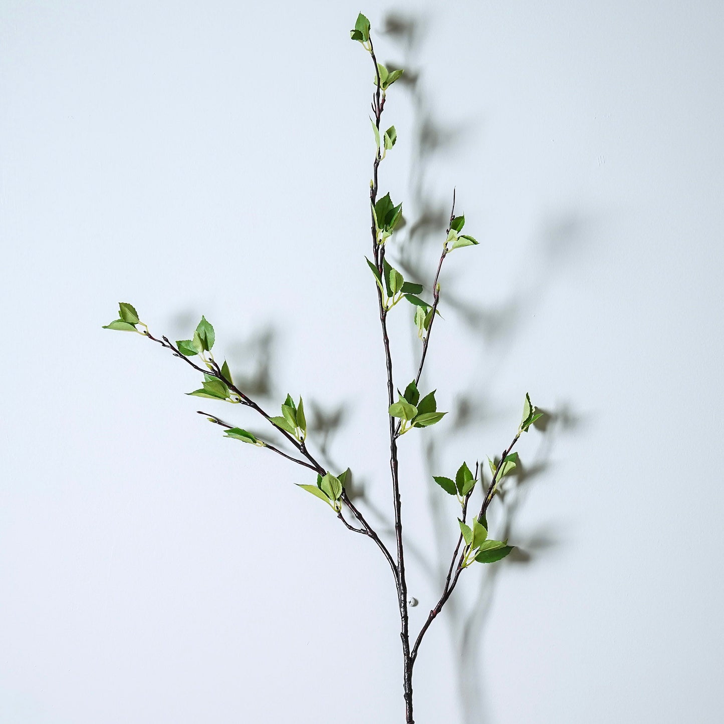 Long Green Leaf Branch