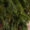 Real Touch Blissful Norfolk Pine Draping Garland | 6'