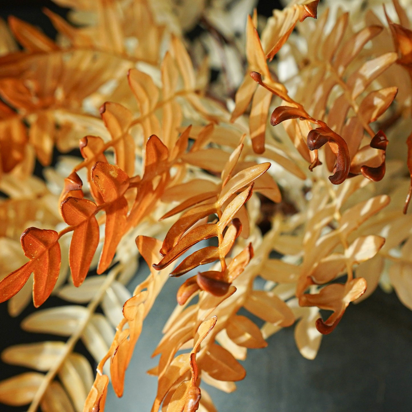 Ombre Leaf Stem