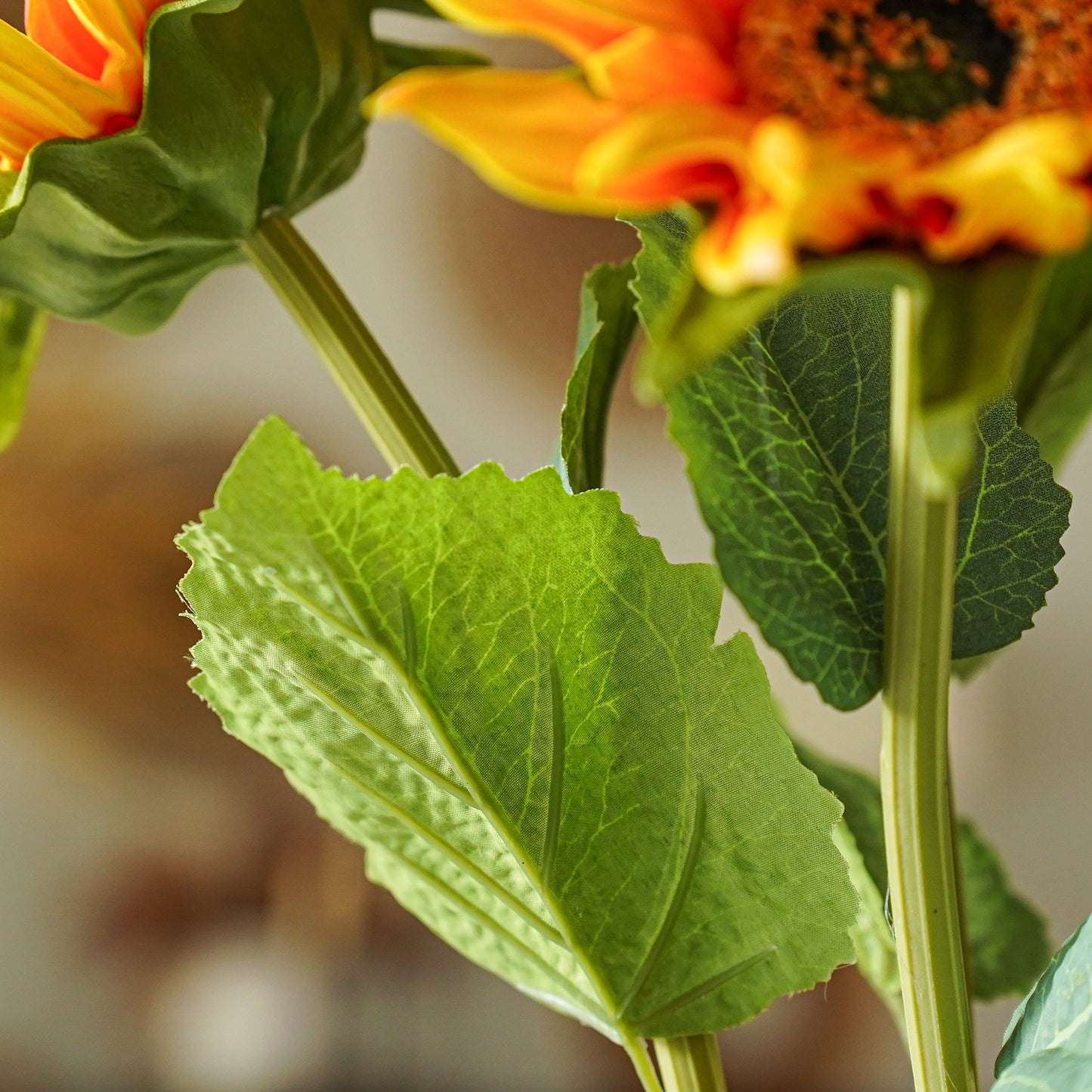 Sunburst Sunflower