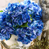 Tiffany Hydrangea | Blue