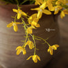 Forsythia Blossom Branch | Yellow