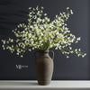 Forsythia Blossom Branch | White