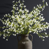 Forsythia Blossom Branch | White