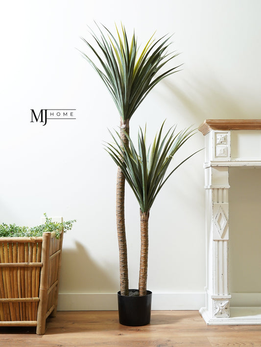 Beaker Dracaena Faux Plant